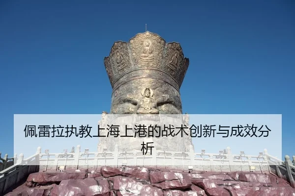 pei-lei-la-zhi-jiao-shang-hai-shang-gang-de-zhan-shu-chuang-xin-yu-cheng-xiao-fen-xi-2-622.jpg